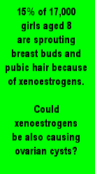 Xenoestrogens cause Early Puberty in Children